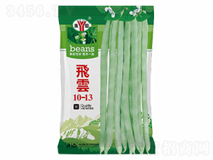 �w�(y��n)10-13-�Z���_(d��)