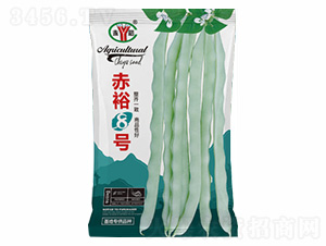 ��ԣ8̖(h��o)-�Z���_(d��)