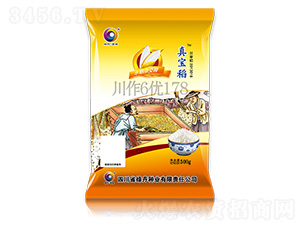 �挚��-��ɫ�G��