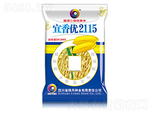 ���マ(y��u)2115-��ɫ�G��