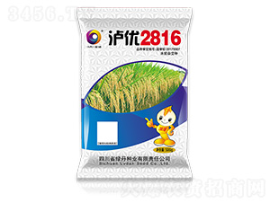 �o��(y��u)2816-��ɫ�G��