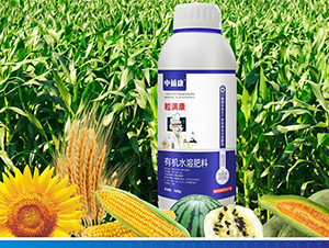 �ЙC(j��)ˮ�ܷ���-���M��-��ֲ��