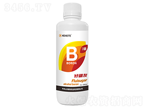 ������-������