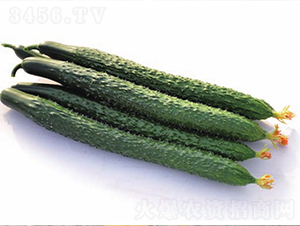 ��(qi��ng)��719-�S�ϷN��-����