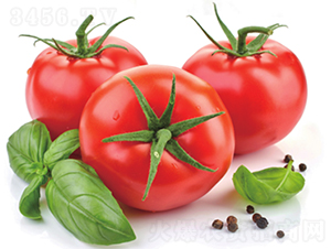 ���D-���ѷN��-����