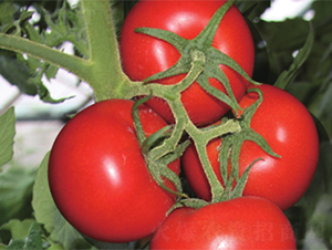 ����039-���ѷN��-����