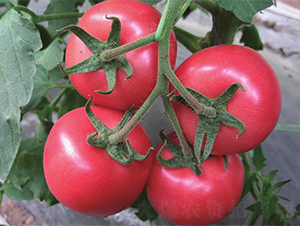 �~����-���ѷN��-����