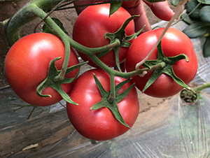 �_��-���ѷN��-����