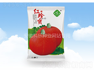 �t�䌚���S���̖��-�Ƙ��N�I(y��)