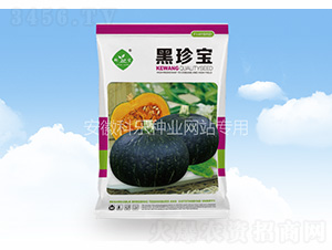 ���䌚-�Ƙ��N�I(y��)