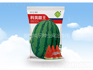 ��������-�Ƙ�(l��)�N�I(y��)