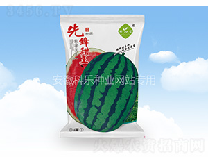 ���h����-�Ƙ��N�I(y��)