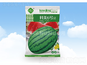 科美6號(hào)-科樂(lè)種業(yè)