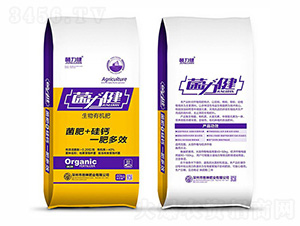 �����ЙC��-������-��˾�׷ʘI(y��)