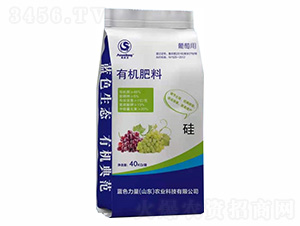 �W�������ь����ЙC����-�{ɫ����