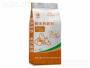 ΢�������-�w���ЙC(j��)��-�{(l��n)ɫ����