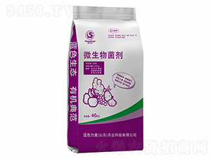 ΢�������-�����ЙC��-�{ɫ����