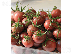 ���r(n��ng)������-С���ѷN��-���r(n��ng)�r(n��ng)�I(y��)