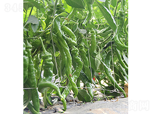 37-94-�����N��-���r(n��ng)�r(n��ng)�I(y��)