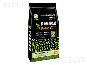 �VԴ�S�����-��ؔ��-�I(l��ng)��(y��u)