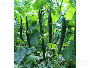 ���S��108-�S�ϷN��-���r(n��ng)�r(n��ng)�I(y��)