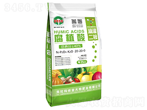 ��ֲ��ι���@-����