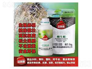 ��ς���(d��o)��+������-���ϲ-ԥ֮��