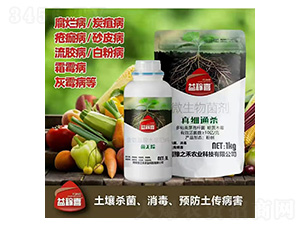 ���oۙ+�漚ͨ��-���ϲ-ԥ֮��