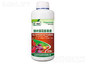 �G�~���������-�䳲-���r(n��ng)����