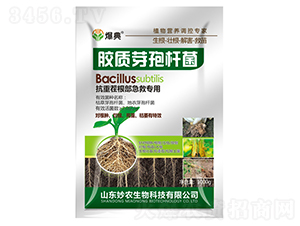 �z�|(zh��)ѿ�ߗU��-����-���r(n��ng)����