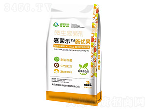 �����ɫ��΢�������-�ξ���(l��)ʩ��(y��u)��-��Դ����