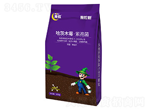 ����ľù�����߾�-ħ����-ħ������