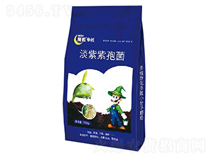 �������߾�-ħ����(zhu��n)��(xi��n)-ħ������