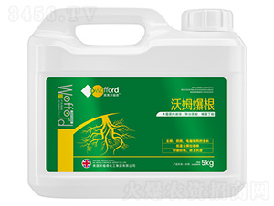 ��ķ����-��ķ��