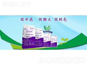 �`�`����������-��������