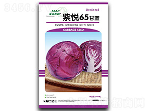 �ϐ�65���ψ���-���{(l��n)�N��-��ľï��