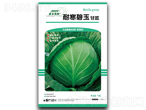 �ͺ�����-���{(l��n)�N��-��ľï��