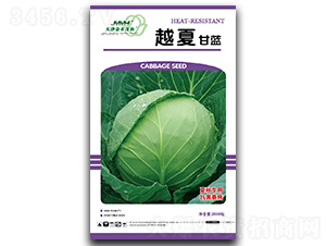 Խ��-���{(l��n)�N��-��ľï��