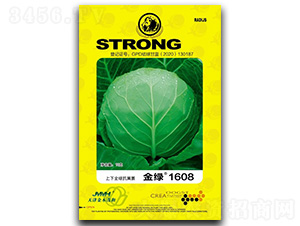 ��G1608-���{(l��n)�N��-��ľï��