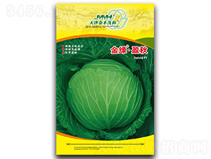 ��Gӯ��-���{(l��n)�N��-��ľï��