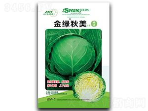 ��G����-���{(l��n)�N��-��ľï��