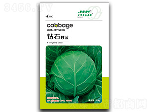 �@ʯ-���{(l��n)�N��-��ľï��