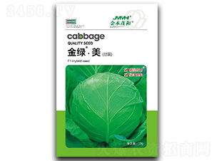 ��G�������{(l��n)-���{(l��n)�N��-��ľï��