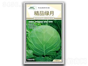 ��Ʒ�G��-���{(l��n)�N��-��ľï��