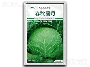 ����A��-���{(l��n)�N��-��ľï��