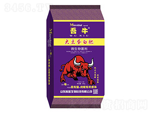 大豆蛋白肥-吾牛-中壤