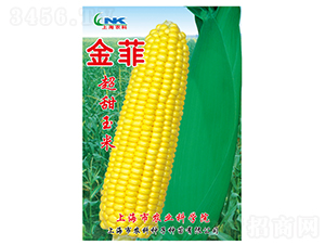 ������׷N��-�r(n��ng)�ƷN��