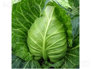 �������{(l��n)�N��-�r(n��ng)�ƷN��