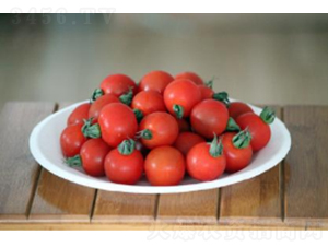 ����K319-���ѷN��-�r(n��ng)�ƷN��