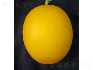 ������3̖(h��o)-���ϷN��-�r(n��ng)�ƷN��